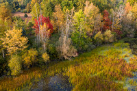 Huron River w Fall Colors