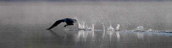 Long take-off run