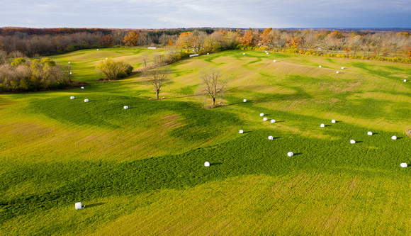 Ann Arbor Marshmallow Farm 2